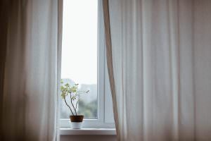 papeles-decorativos-confeccion-cortinas